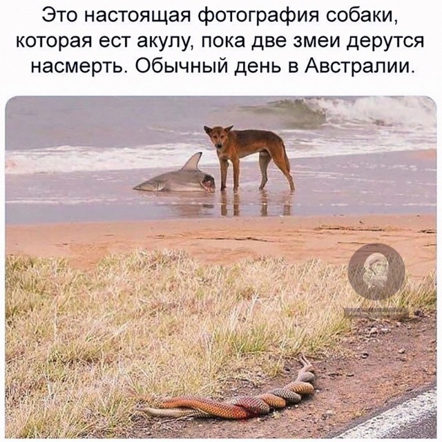 Завалялось тут случайно немного забавных картинок