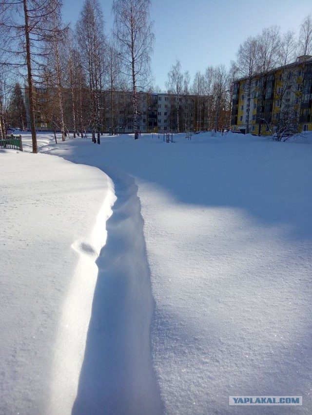 Литературная беседка v.1