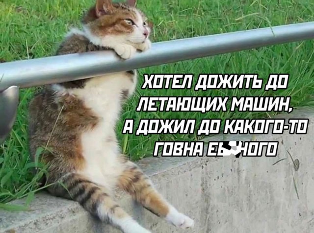 Так себе картинки 28.03.25