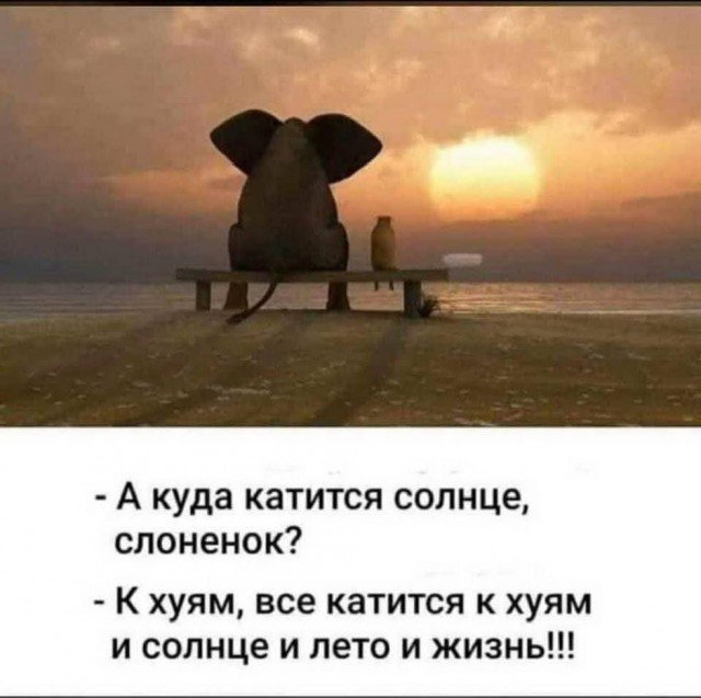 Так себе картинки 29.03.25