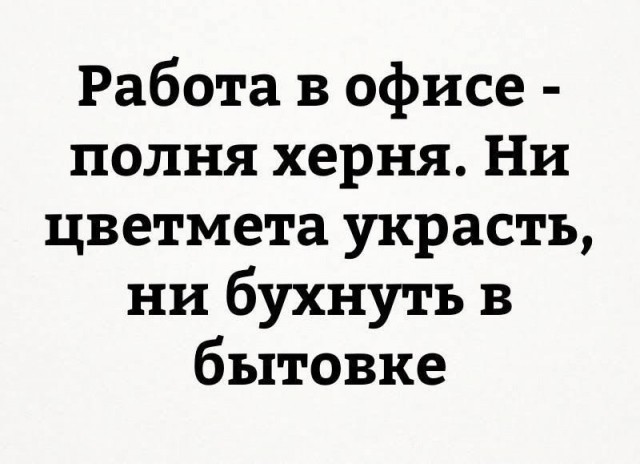 Веселые картинки в среду, практически пятницу 30.04