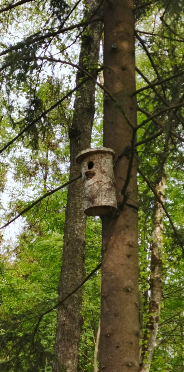 Парк «Ближняя дача»