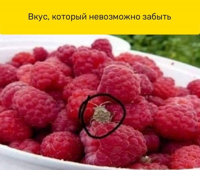 ТРРРидцать тРРРи от 26 мая