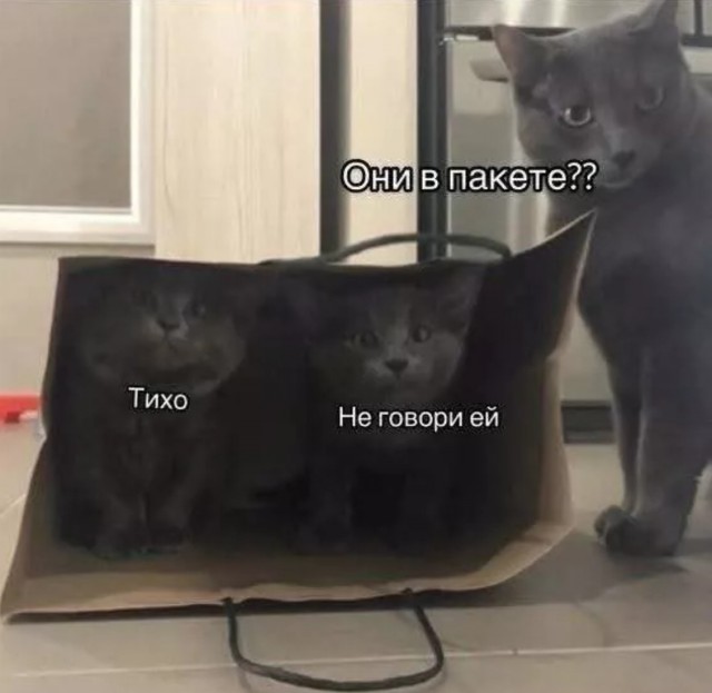 Завалялось тут случайно немного забавных картинок