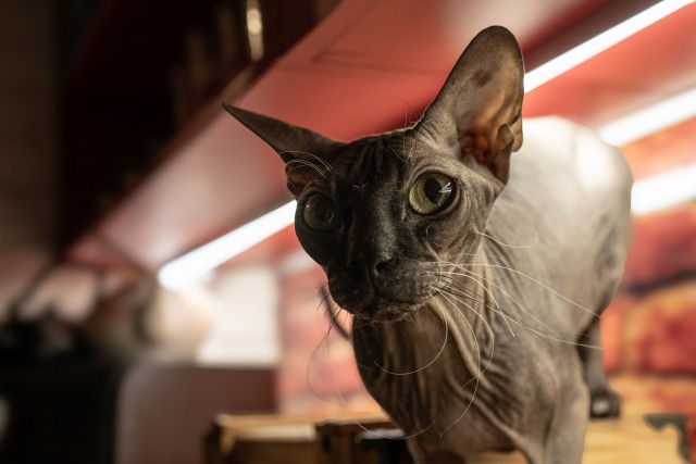 Заряд позитива: взгляните на 25 самых забавных снимков