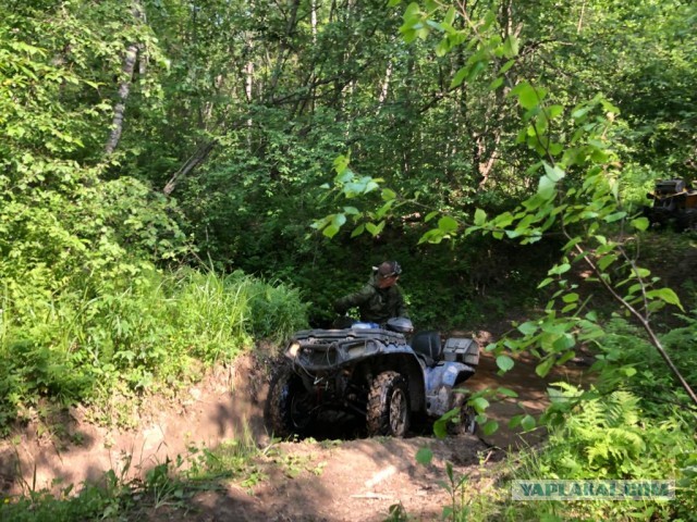 На квадроциклах по Вепсскому лесу