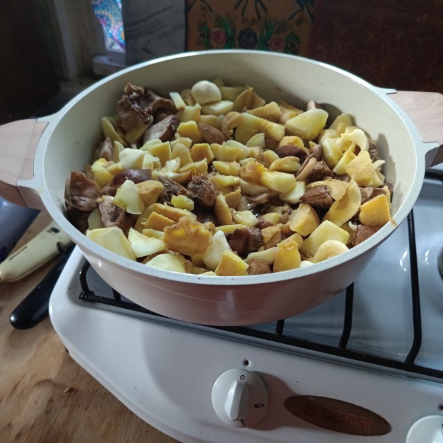 Грибов.есть