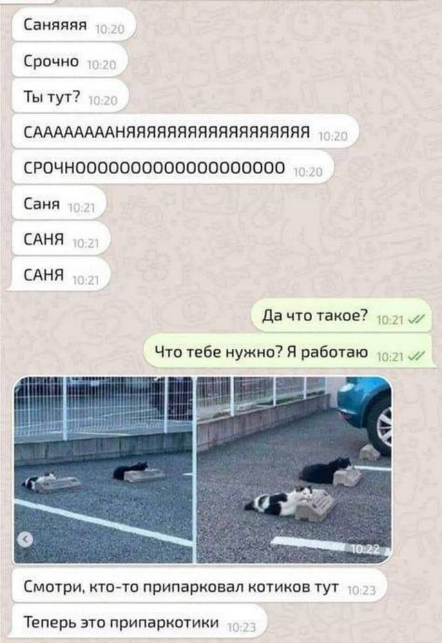 Веселые картинки в понедельник (01.09(