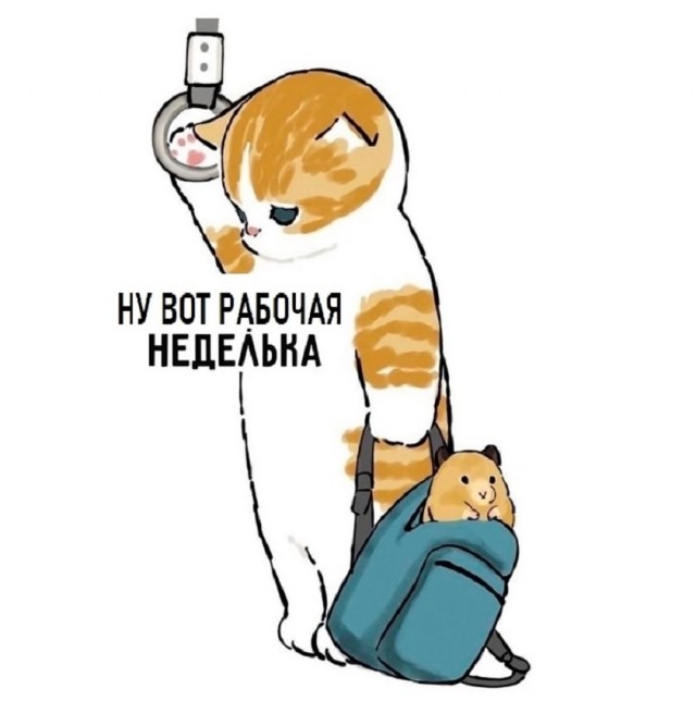 Так себе картинки 01.09.25