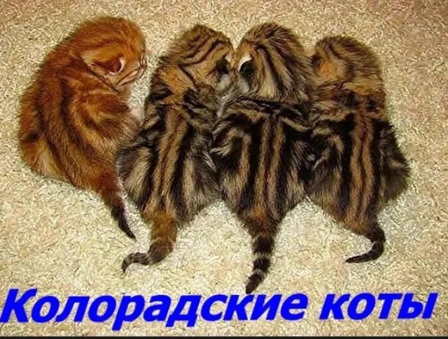 Прикольные и просто красивые картинки 19.09.2025