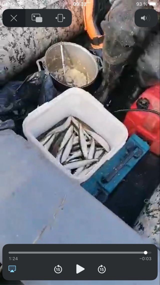 Два Лёхи. На рыбалке