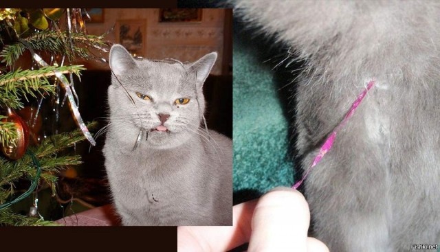 Уже скоро