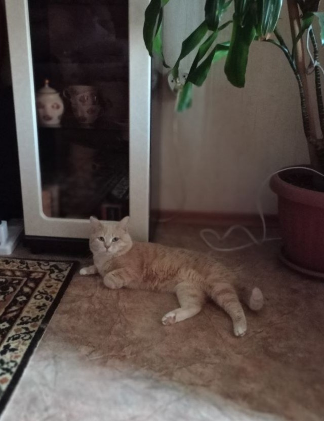 Ну начнемс ...!