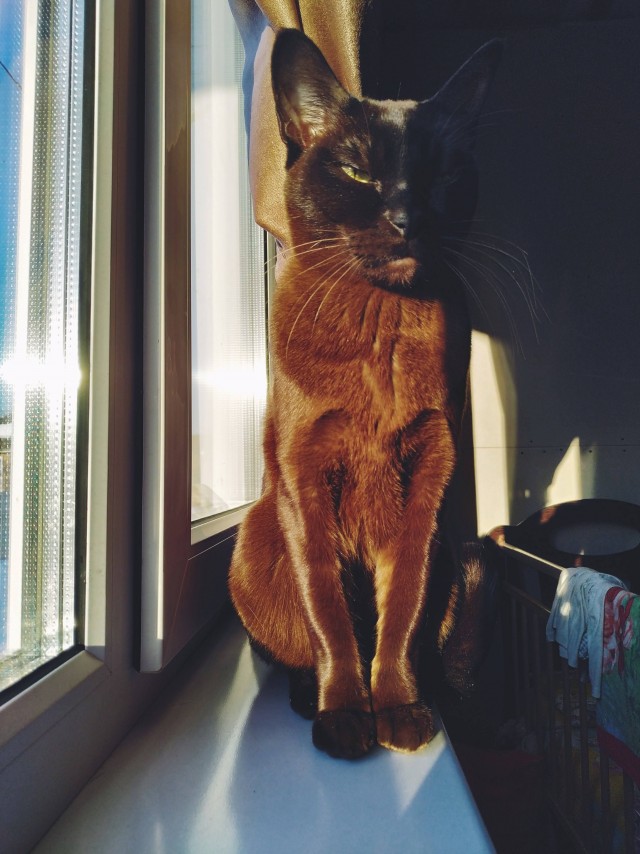 Безымянная извечная битва