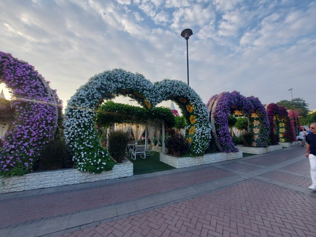 Дубайск в декабре