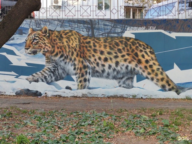 Уличное творчество - 14