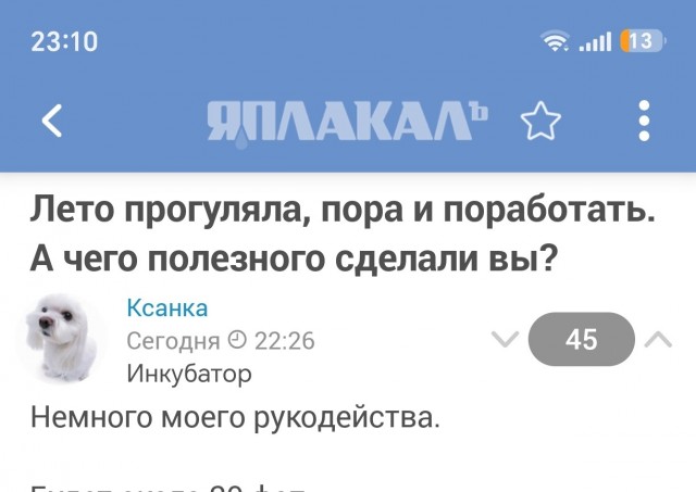 Лето прогуляла, пора и поработать. А чего полезного сделали вы?