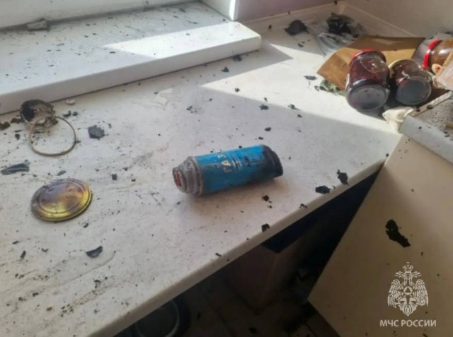 Кот устроил взрыв в квартире в Одинцово, пока хозяев не было дома