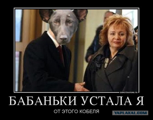 На Крещатике нашли собаку похожую на Путина