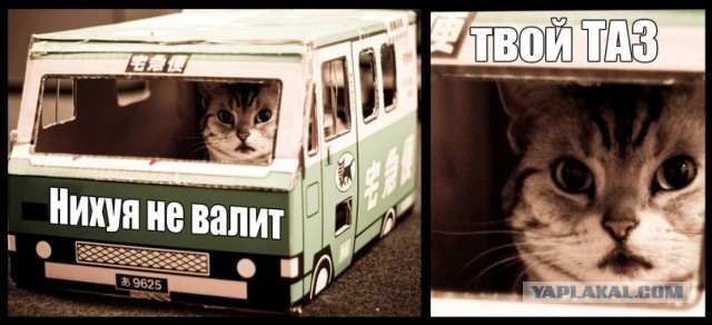 А мне по х....
