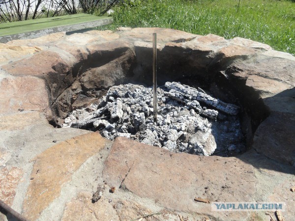 Курица гриль.