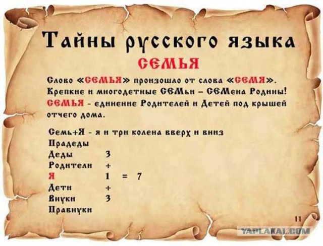 20 фактов обо всем