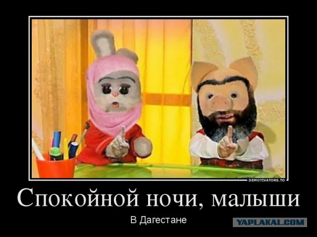 Демотиваторы дня