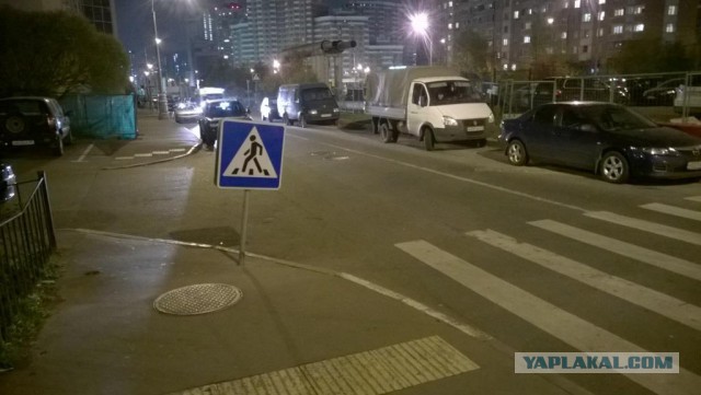 Веселости которые встретились сегодня