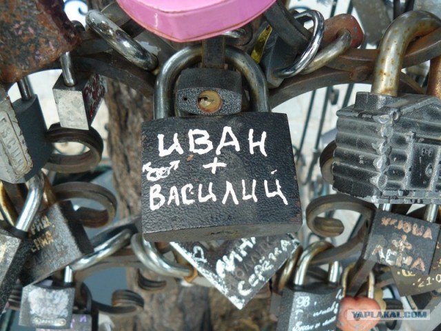 Совет да любовь