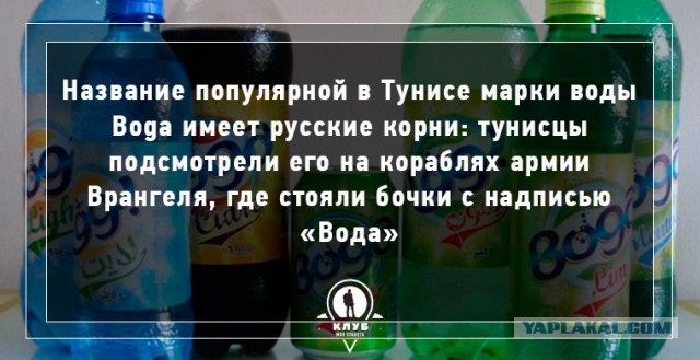 Интересные факты о воде
