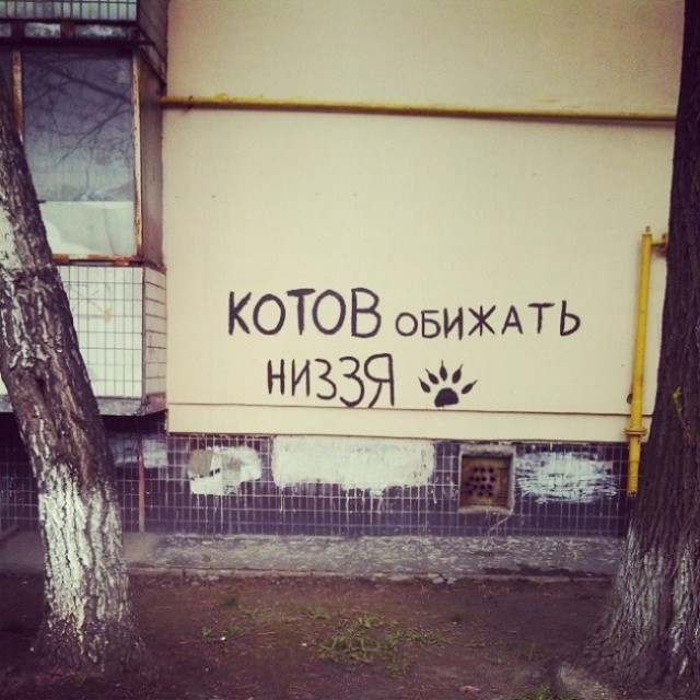 Прикольные объявления и надписи