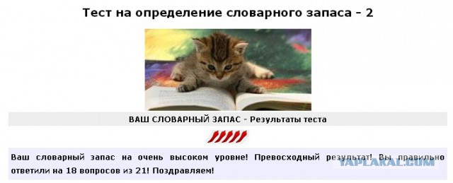 Хотите узнать свой словарный запас?