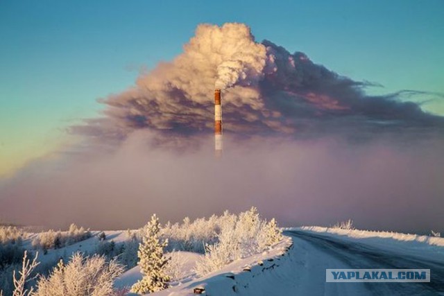 Подборка прикольных картинок