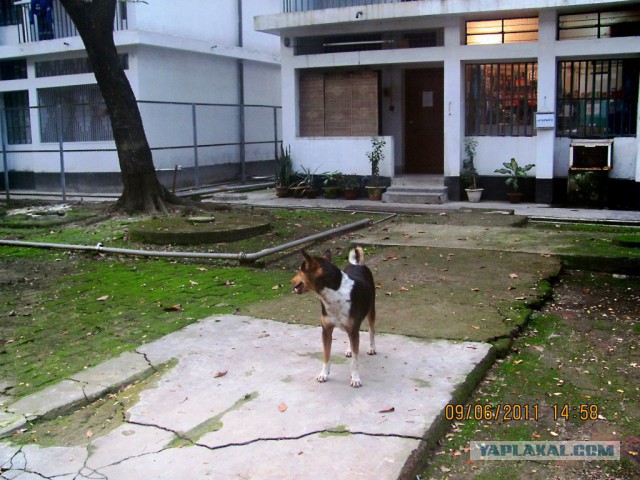 Что такое Бангладеш?