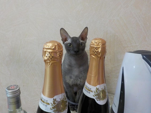 Кожаное зло