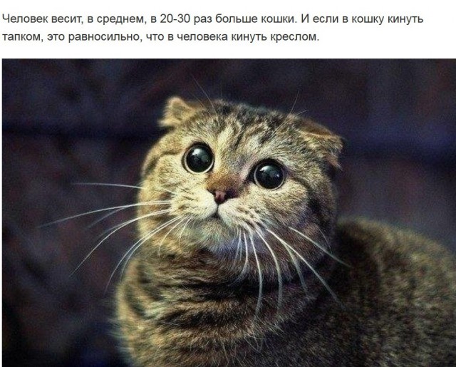 Отовсюду понемногу