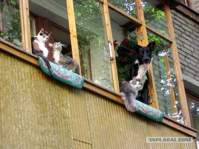 Балконы бывают разные