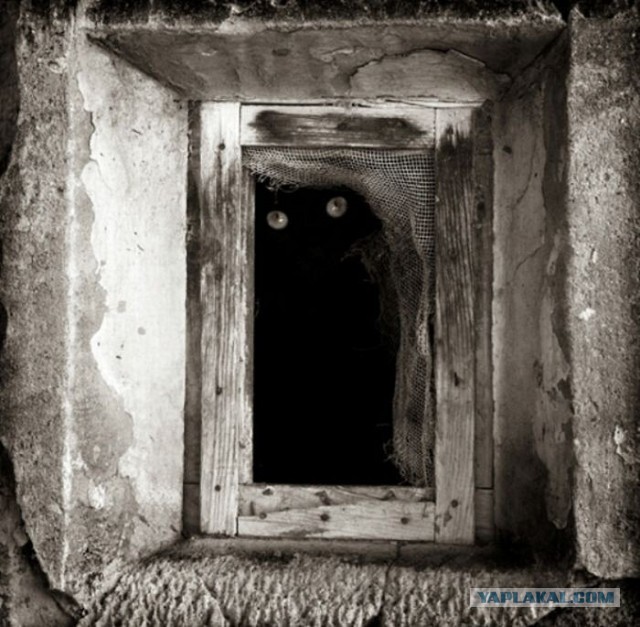 Безысходность как она есть