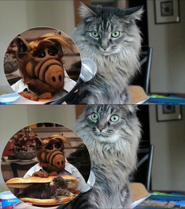 Субботняя подборочка картинок