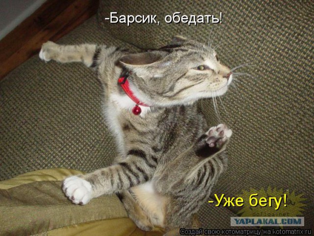Пойдем братан, нам покушать принесли