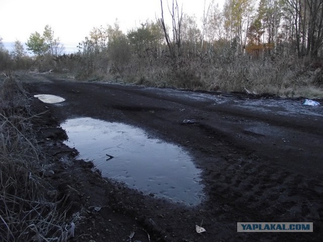 Еду искать Дальневосточный гектар.