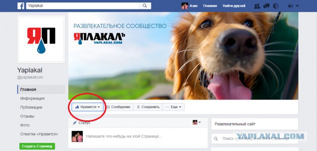 ЯП на Facebook: возрождение