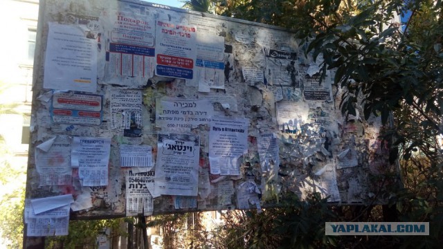 Поездка в Израиль