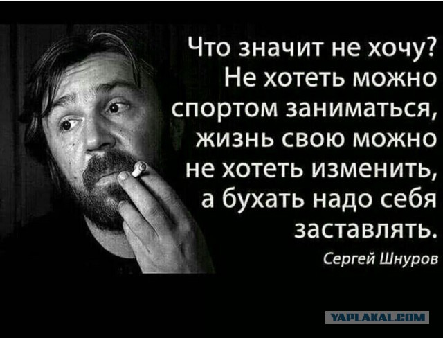 Пиво с портретом Сергея Шнурова оскорбило верующих