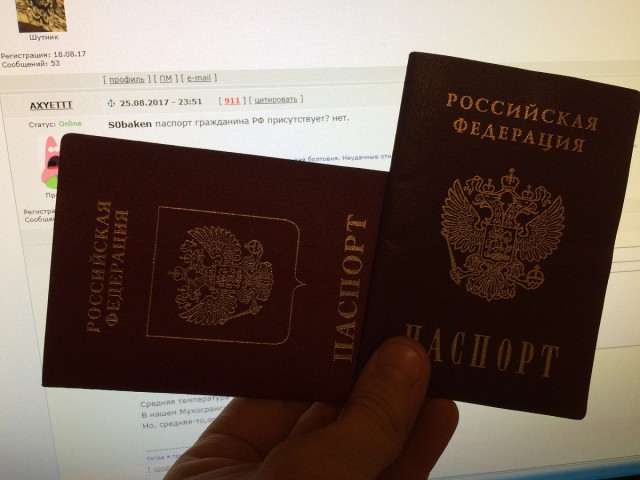 Более 80% россиян одобряют работу Путина