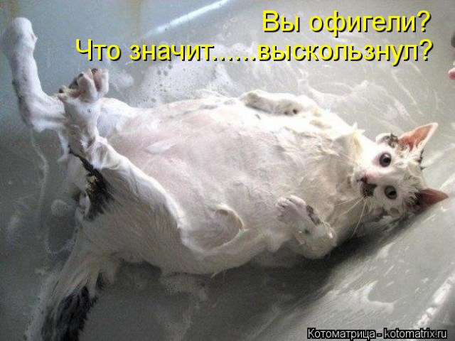 Кот, тем не менее, совершенно распустился, к зиме оброс бородой и где-то потерял совесть