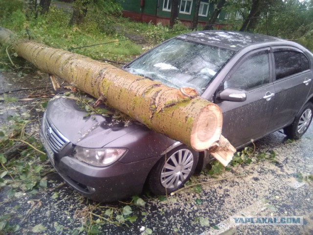 Шторм в Архангельске и Северодвинске валит деревья, срывает крыши