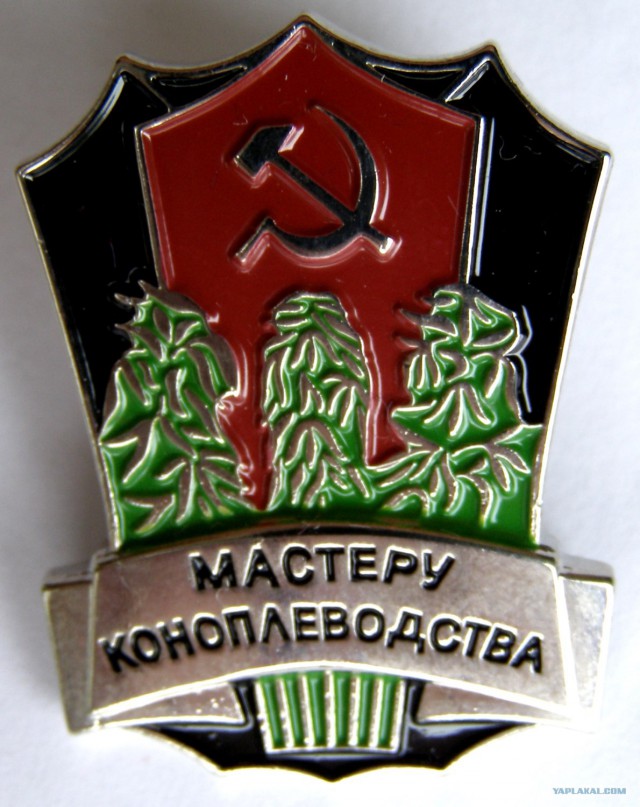 Юные мичуринцы