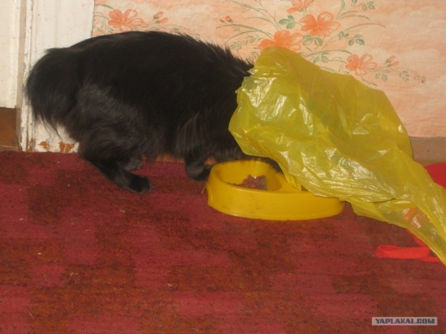 КОТовторник 13.04.2010г.