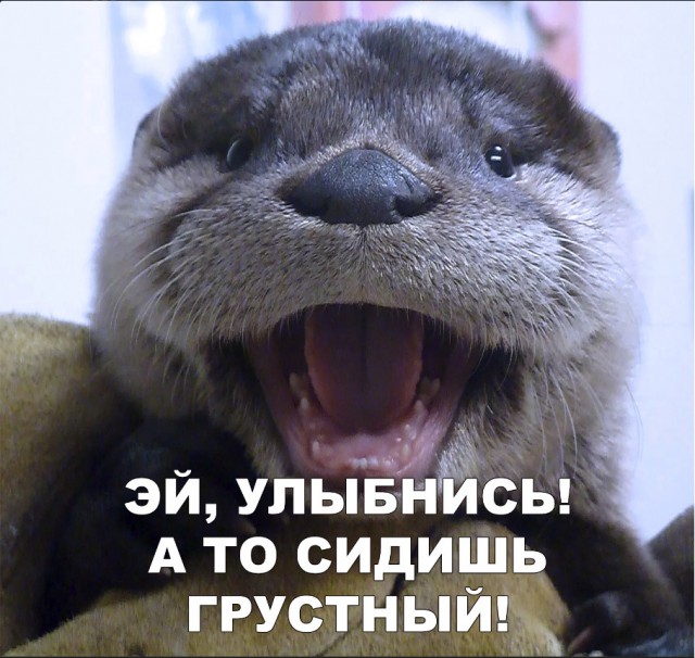Нестандартный юмор